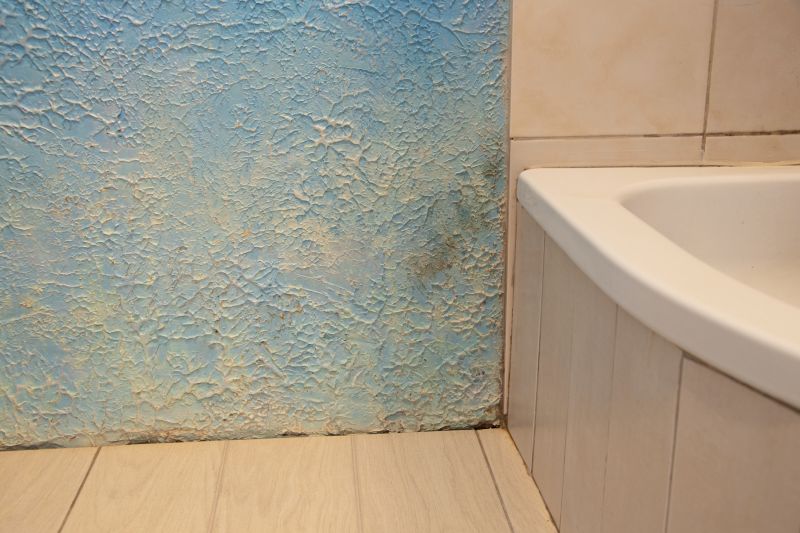 Attic Water Damage Repair in Alpharetta, GA