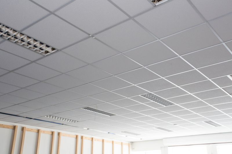 Office Ceiling Installation