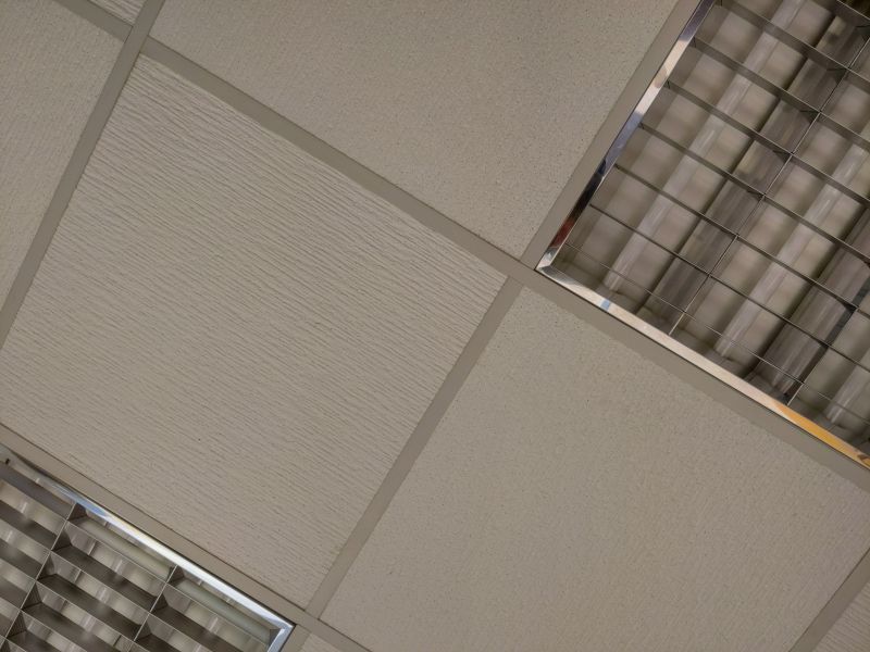 Office Ceiling Installation